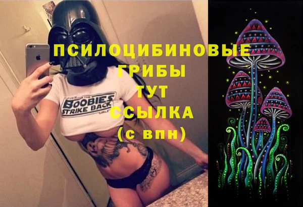 PSILOCYBIN Алексин