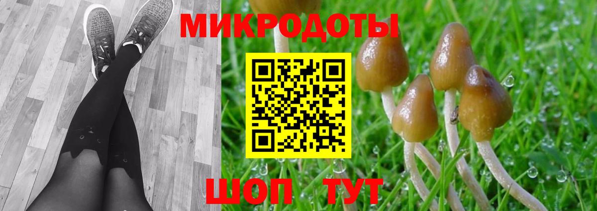 Псилоцибиновые грибы Psilocybe Чебаркуль