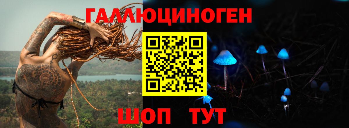 Псилоцибиновые грибы Magic Shrooms  Вход с VPN  Галлюциногенные грибы Psilocybe  где купить наркоту  Чебаркуль 